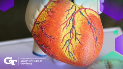 image of a model of the human heart