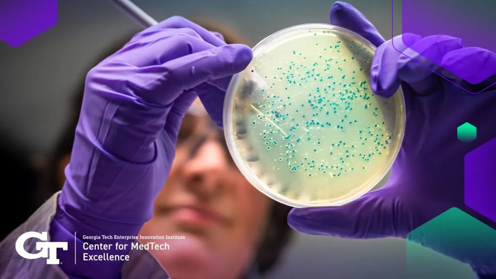 researcher looking at micro-organisms in a petri dish